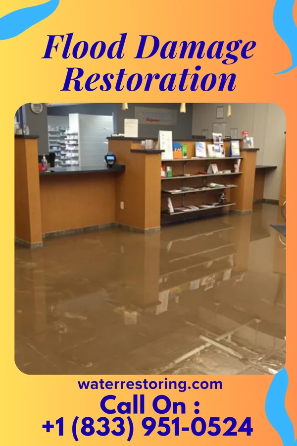 Flood Damage Restoration in Kiawah Island, SC