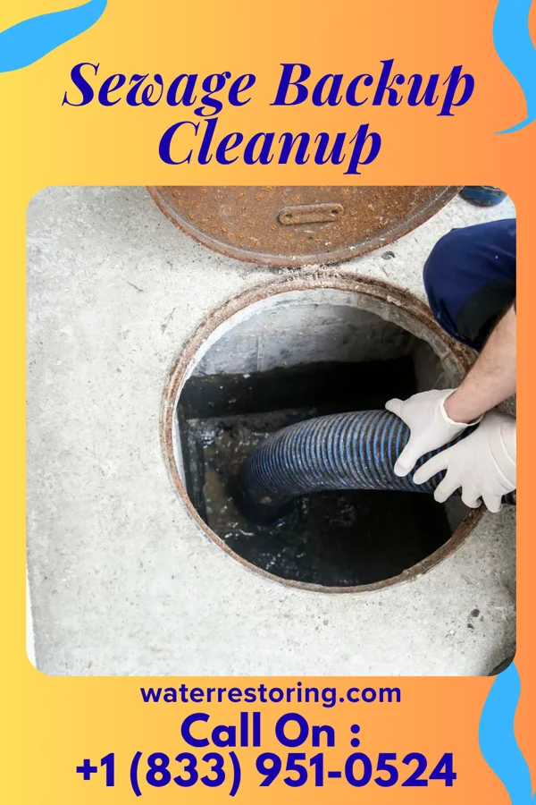 Sewage Backup Cleanup in Kiawah Island, SC