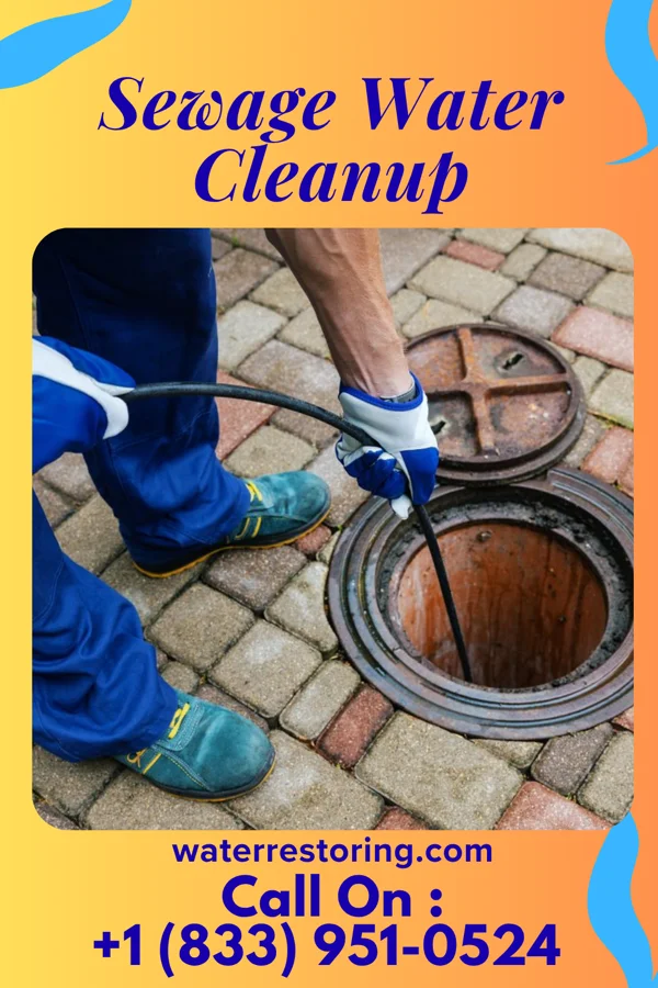 Sewage Water Cleanup in Kiawah Island, SC