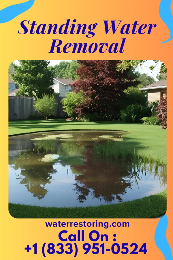 Standing Water Removal in Kiawah Island, SC